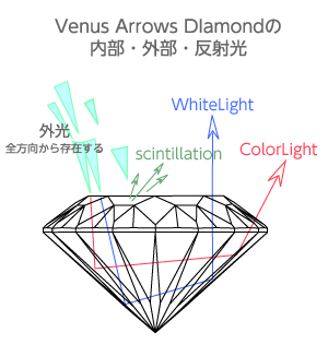 r[iXA[_Ch̓EOEˌ