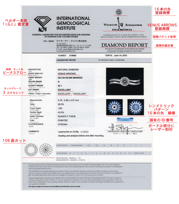 r[iXA[_ChIGIӒ菑